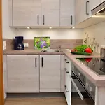 Apartament Brutscher -